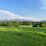 Staybest Koenig Ludwig *