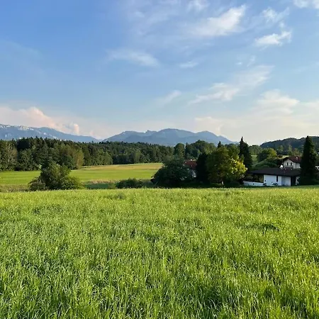 Staybest Koenig Ludwig *