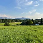 Staybest Koenig Ludwig *